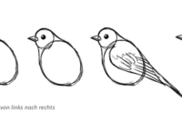 vögel einfach malen vögel einfach malen