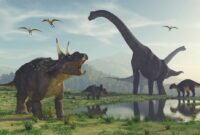 dinosaurier namen und bilder dinosaurier namen und bilder