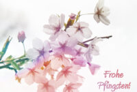 pfingstbilder kostenlos pfingstbilder kostenlos