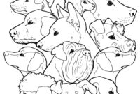 ausmalbilder 13 jährige ausmalbilder 13 jährige