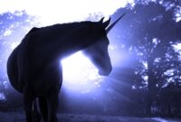 bilder einhörner bilder einhörner