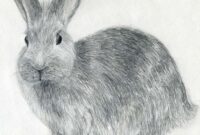 zeichnungen tiere zeichnungen tiere
