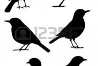 vogel silhouetten zum ausdrucken
