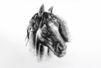 pferdekopf malen einfach pferdekopf malen einfach