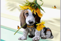 hab einen schönen tag bilder kostenlos hab einen schönen tag bilder kostenlos