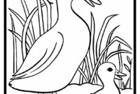 ente malen vorlage