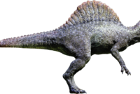 spinosaurus bilder