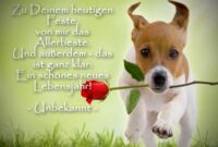 schöne geburtstag bilder kostenlos