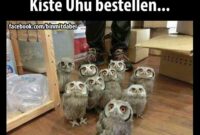 lustige bilder die neuesten lustige bilder die neuesten