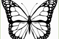 schmetterlinge ausmalbilder