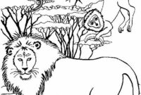 ausmalbild tiere afrika ausmalbild tiere afrika