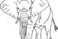 elefant umriss elefant umriss