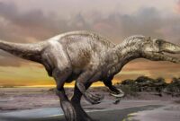 dinosaurier bild