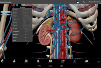 anatomy atlas free download anatomy atlas free download