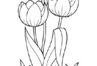 tulpen zum ausdrucken tulpen zum ausdrucken