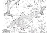 ausmalbild delphin ausmalbild delphin