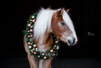 frohe weihnachten pferd lustig