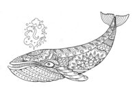 wal ausmalbild wal ausmalbild