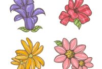 blume gezeichnet bunt blume gezeichnet bunt