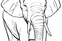 elefanten ausmalen elefanten ausmalen