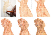 hund leicht malen hund leicht malen