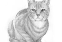 einfach katzen malen einfach katzen malen