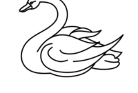 ausmalbild schwan ausmalbild schwan