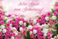 geburtstags bilder