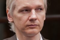julian assange net worth