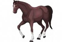 schöne pferde bilder zum nachmalen schöne pferde bilder zum nachmalen