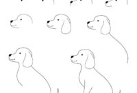 tiere zum zeichnen leicht tiere zum zeichnen leicht