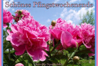 bilder pfingsten kostenlos