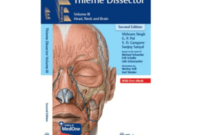 thieme dissector thieme dissector