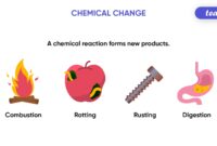the substances chemical reactions produce