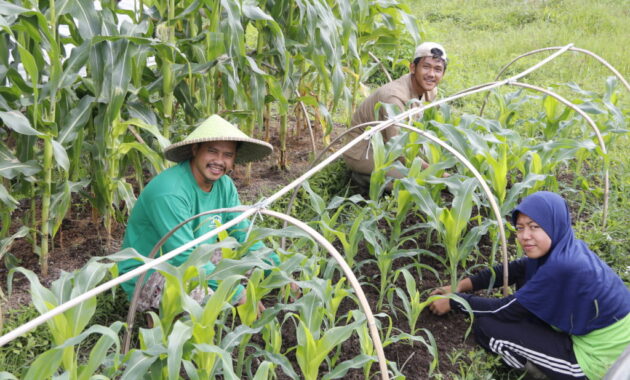 krankenkasse landwirtschaft