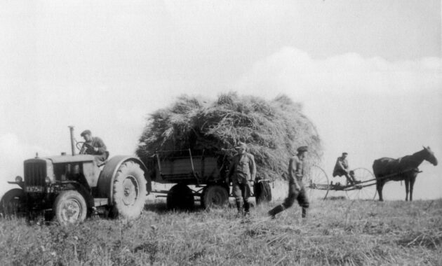 landwirtschaft vor 60 jahren