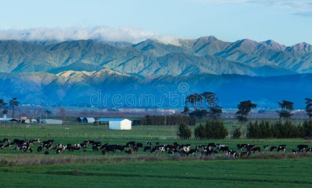 landwirtschaft neuseeland
