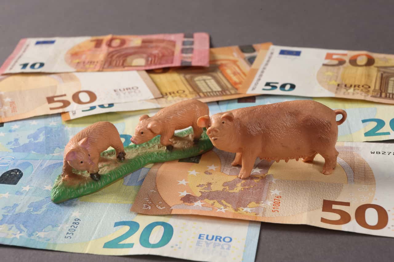 Die Abstimmung über das Wachstumschancengesetz hat begonnen - Das Die Abstimmung über das Wachstumschancengesetz hat begonnen - Das