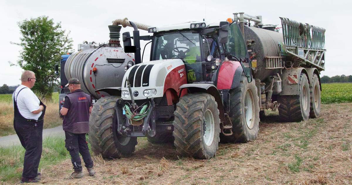 Lohn für landwirtschaftliche Arbeitnehmer: Tarifeinigung erzielt Lohn für landwirtschaftliche Arbeitnehmer: Tarifeinigung erzielt