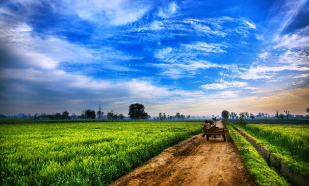 landwirtschaft hintergrundbilder