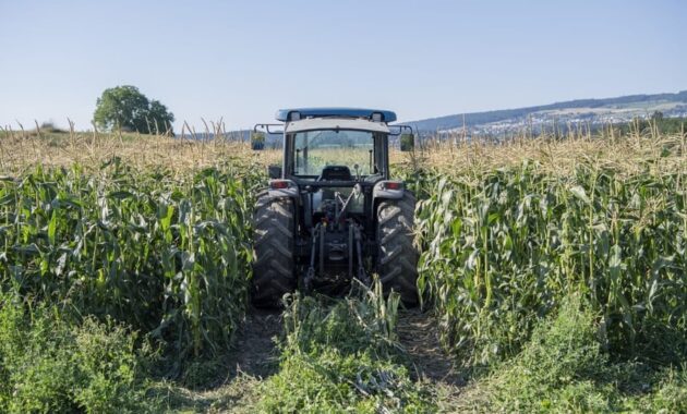 landwirtschaft subventionen