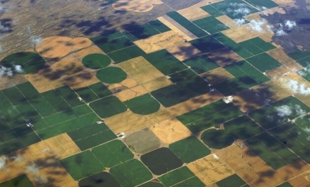 steuerbefreiung landwirtschaft