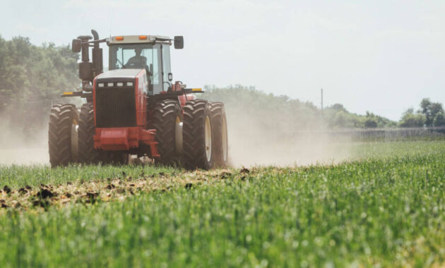 landwirtschaft regelbesteuerung