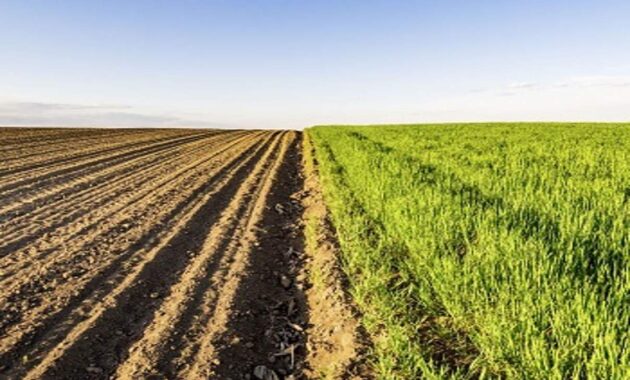 muss landwirtschaftliche fläche genutzt werden