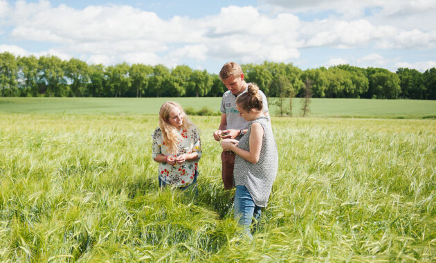 kann man landwirtschaft studieren