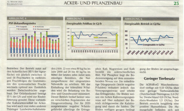 sollte die eu vorrangig ökologische landwirtschaft fördern