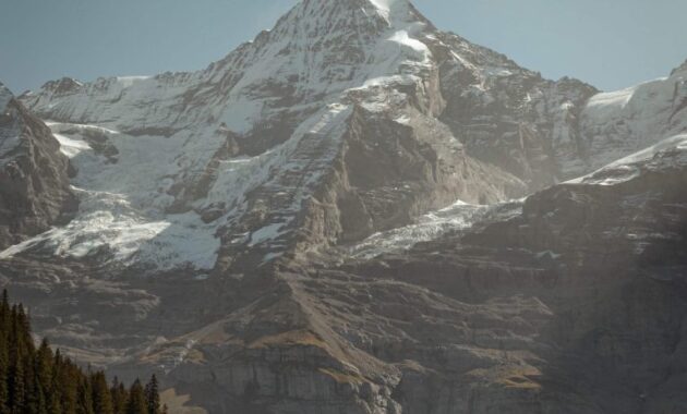 jobs landwirtschaft schweiz