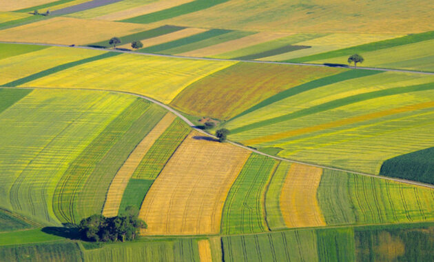 landwirtschaft 24