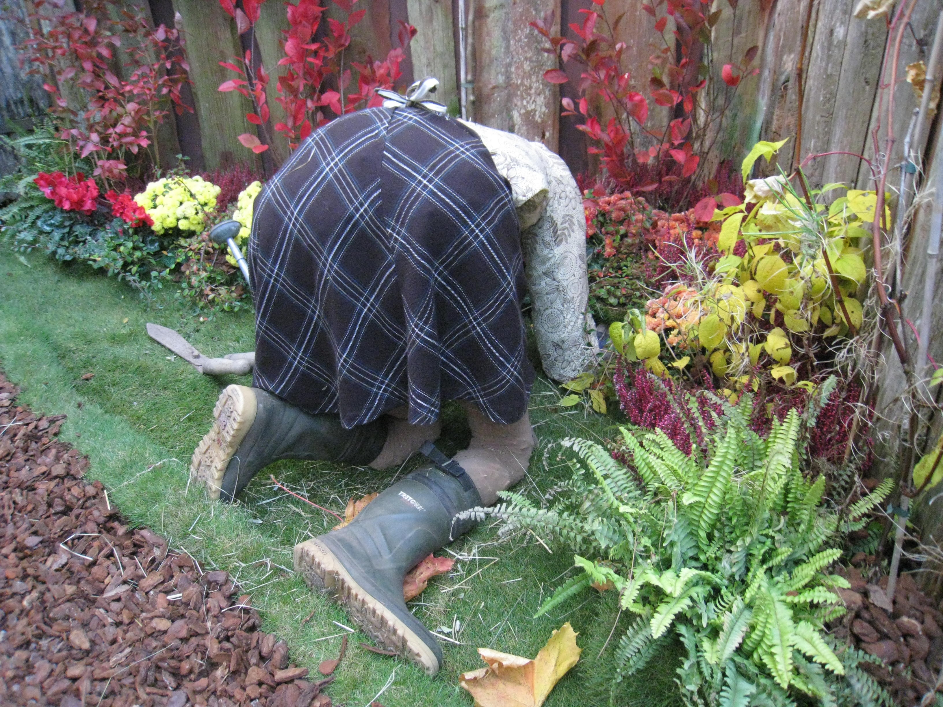 Free Images : grass, lawn, flower, backyard, clothing, garden, plants Free Images : grass, lawn, flower, backyard, clothing, garden, plants