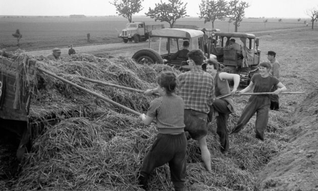 landwirtschaft ddr